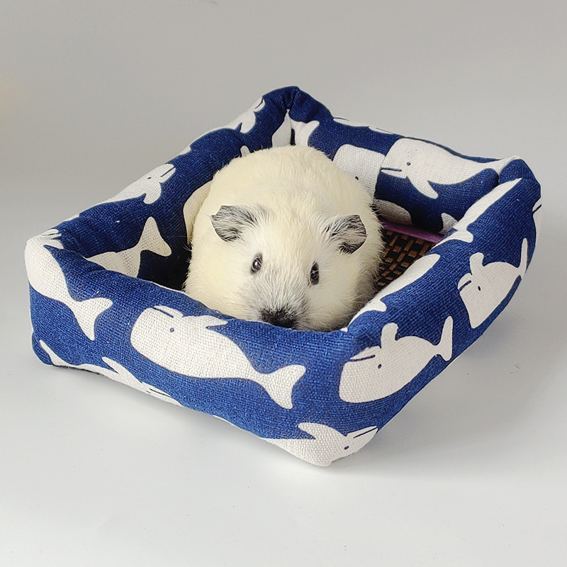 Suvine kassipesa lahe pesa kassimatt rotangist matt kennel keskmise ja väikese koera kaisukaru lemmikloomavoodi jääpesa kassitarbed