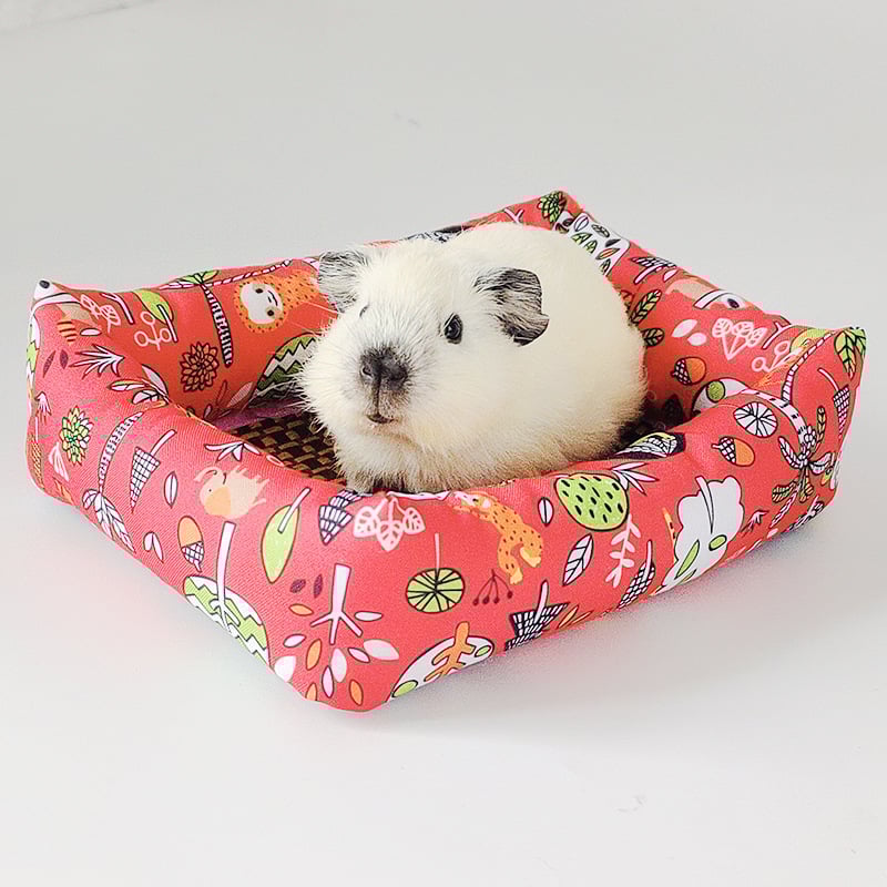 Suvine kassipesa lahe pesa kassimatt rotangist matt kennel keskmise ja väikese koera kaisukaru lemmikloomavoodi jääpesa kassitarbed