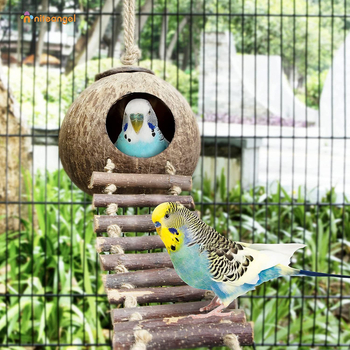 Φωλιά πουλιού με κέλυφος καρύδας Φωλιά γρασιδιού Δέρμα τίγρης Παιώνια Xuan Feng Φωλιά παπαγάλου Ζεστή αναπαραγωγή Μικρή μεσαία Μεγάλη φωλιά πουλιού