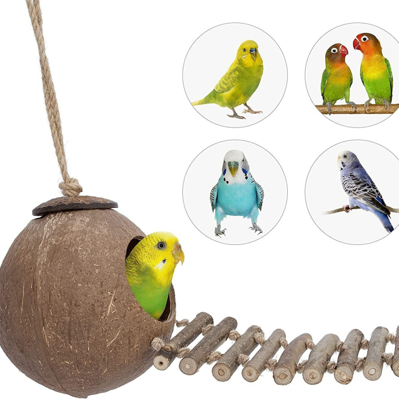 Kookospähkli koorega linnupesa Rohupesa Tiigri nahaga pojeng Xuan Feng Papagoi pesa Soe pesitsus Väike Keskmine Suur Linnupesa