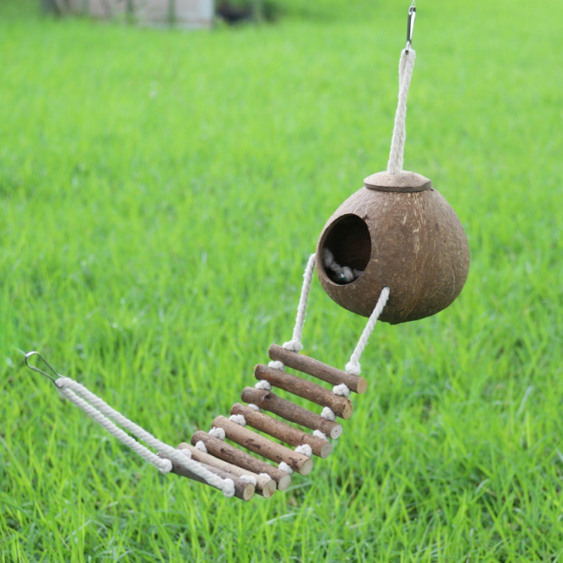 Kookospähkli koorega linnupesa Rohupesa Tiigri nahaga pojeng Xuan Feng Papagoi pesa Soe pesitsus Väike Keskmine Suur Linnupesa