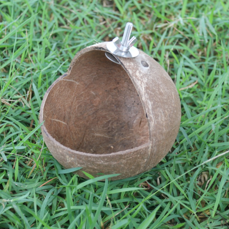 Kookospähkli koorega linnupesa Rohupesa Tiigri nahaga pojeng Xuan Feng Papagoi pesa Soe pesitsus Väike Keskmine Suur Linnupesa