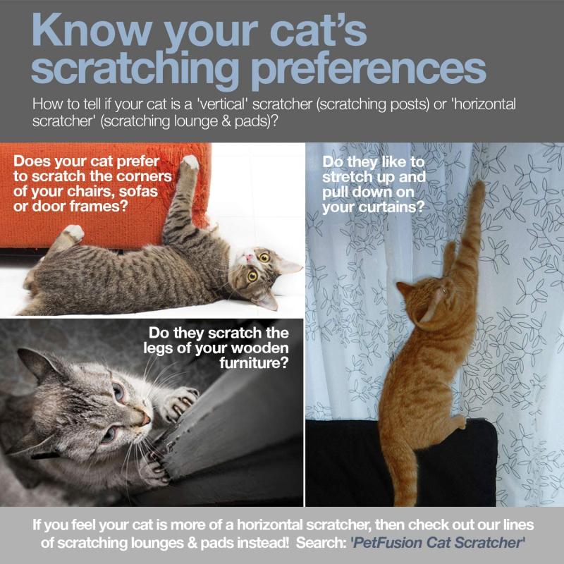 „Petfusion“ aštuonių simbolių katėms skirta draskymo lenta, didelis kačių laipiojimo rėmas, atsparus dilimui, įbrėžimams, katės lova, šezlongas, katės letena