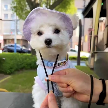 Шапка за кучета с открити уши, регулируема шапка за защита от слънце за външна употреба, шапка за рибар за малки и средни кучета Теди Корги