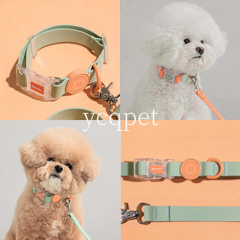 Šuns antkaklis, vandeniui atsparus, šuns antkaklis, šuns antkaklis, mažo šuns antkaklis, didelio šuns, vidutinio dydžio, „Fadou Teddy Corky“ virvė