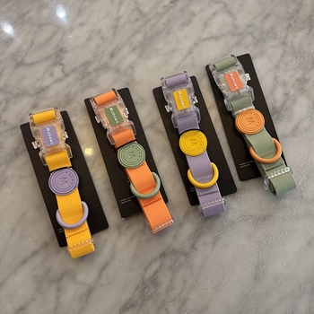 Κολάρο σκύλου Αδιάβροχο κολάρο σκύλου Κολάρο σκύλου Μικρό κολάρο σκύλου Μεγάλος σκύλος Μεσαίο Fadou Teddy Corky σχοινί