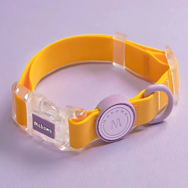 Šuns antkaklis, vandeniui atsparus, šuns antkaklis, šuns antkaklis, mažo šuns antkaklis, didelio šuns, vidutinio dydžio, „Fadou Teddy Corky“ virvė