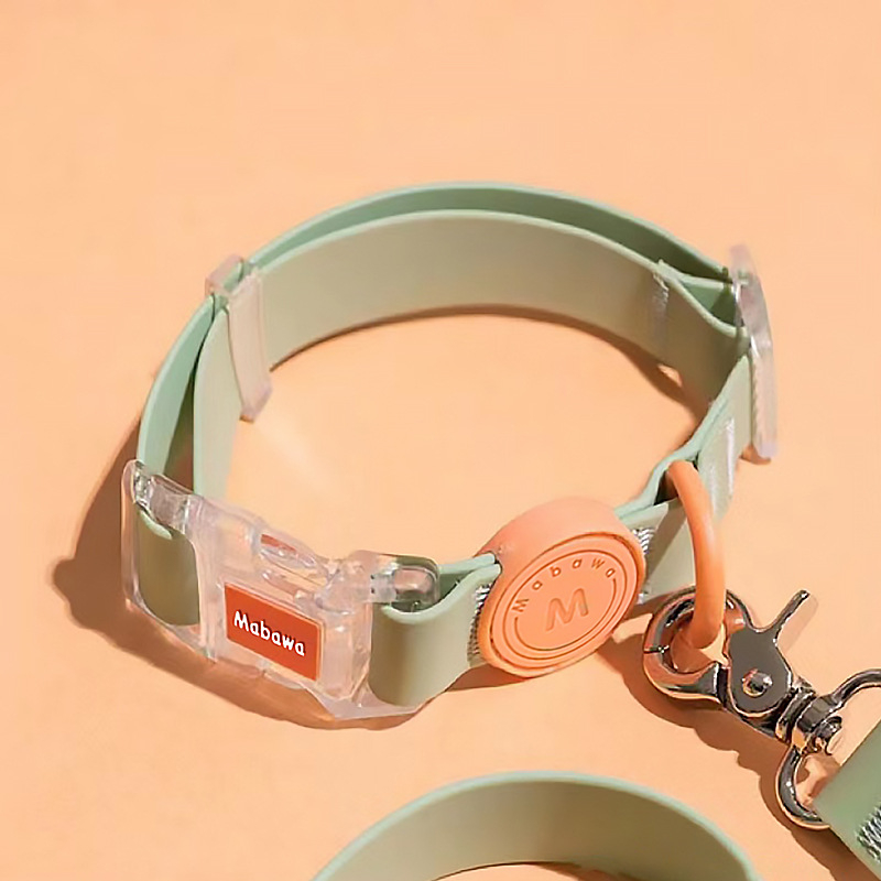 Šuns antkaklis, vandeniui atsparus, šuns antkaklis, šuns antkaklis, mažo šuns antkaklis, didelio šuns, vidutinio dydžio, „Fadou Teddy Corky“ virvė