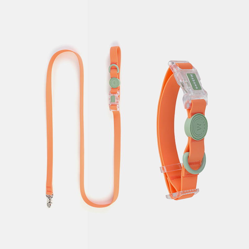 Šuns antkaklis, vandeniui atsparus, šuns antkaklis, šuns antkaklis, mažo šuns antkaklis, didelio šuns, vidutinio dydžio, „Fadou Teddy Corky“ virvė