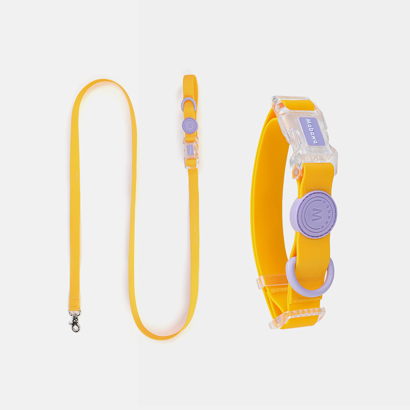 Šuns antkaklis, vandeniui atsparus, šuns antkaklis, šuns antkaklis, mažo šuns antkaklis, didelio šuns, vidutinio dydžio, „Fadou Teddy Corky“ virvė