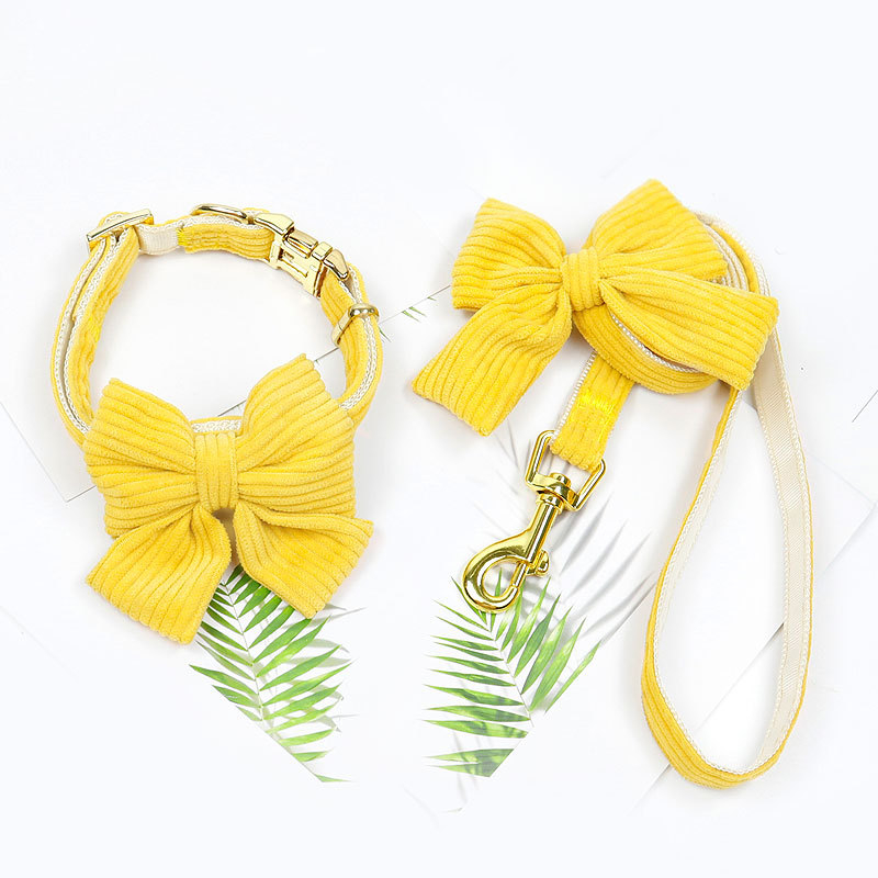 Piiriülene vest koerarihm väikesele ja keskmise suurusega koerale Bixie Teddy kutsika rinnarihm koerarihm koerakett