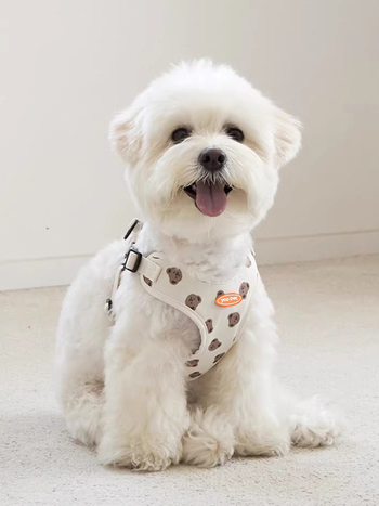 Koerarihma vest Jalutusrihma rihm Väikesele koerale Keskmise suurusega koerale Rinnarihm Koerarihm Teddy koerakett