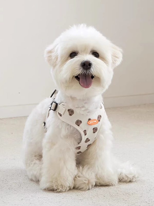 Koerarihma vest Jalutusrihma rihm Väikesele koerale Keskmise suurusega koerale Rinnarihm Koerarihm Teddy koerakett