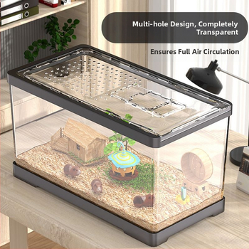 Κλουβί για χάμστερ, ειδικό κλουβί Golden Bear για αρχάριους, διαφανές, τεμπέλικο, μεγάλο, πολυτελές, ακρυλικό κλουβί τοπίου