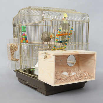 Akrüülist papagoi pesitsuskast, läbipaistev pesitsuskast, linnupesa, täispuidust, linnupesa, papagoi pesa, linnumaja, munade munemine