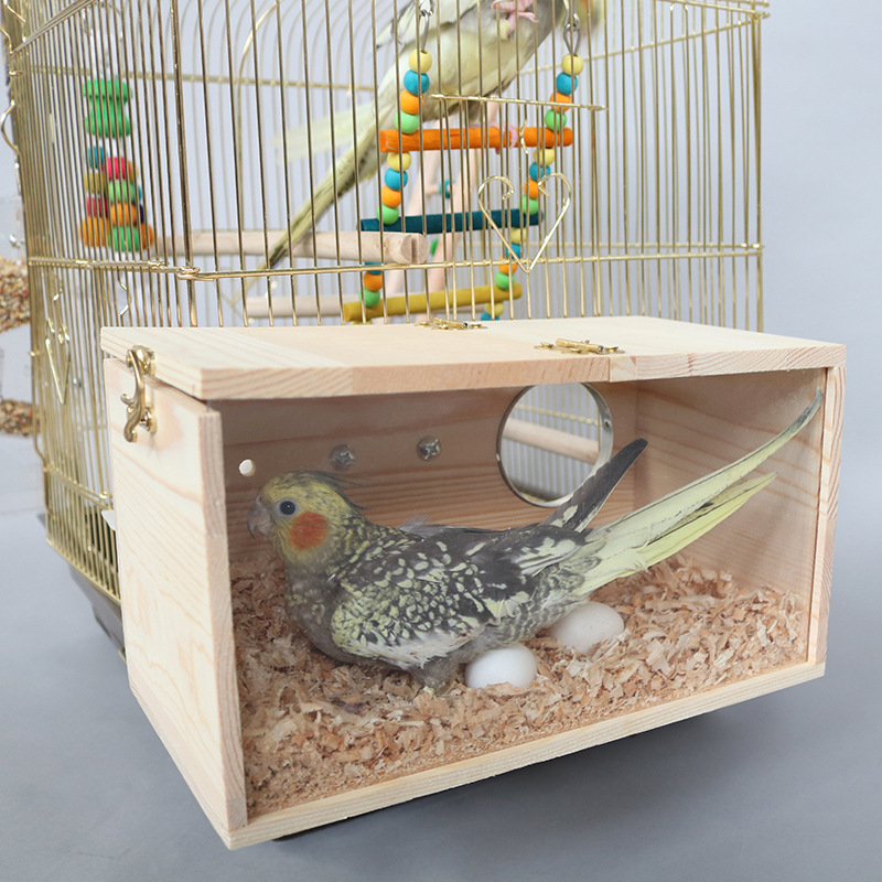 Akrüülist papagoi pesitsuskast, läbipaistev pesitsuskast, linnupesa, täispuidust, linnupesa, papagoi pesa, linnumaja, munade munemine