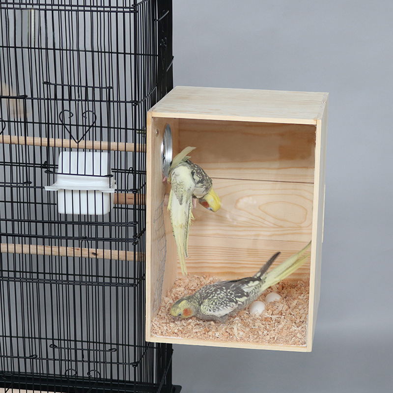 Akrüülist papagoi pesitsuskast, läbipaistev pesitsuskast, linnupesa, täispuidust, linnupesa, papagoi pesa, linnumaja, munade munemine