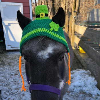 Външна търговия Amazon трансгранична нова ръчно плетена празнична атмосфера голяма шапка за домашни любимци модна персонализирана шапка за кон