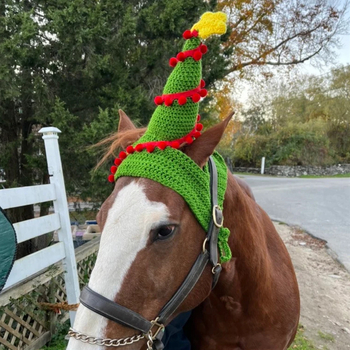 Външна търговия Amazon трансгранична нова ръчно плетена празнична атмосфера голяма шапка за домашни любимци модна персонализирана шапка за кон