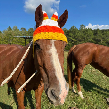 Външна търговия Amazon трансгранична нова ръчно плетена празнична атмосфера голяма шапка за домашни любимци модна персонализирана шапка за кон