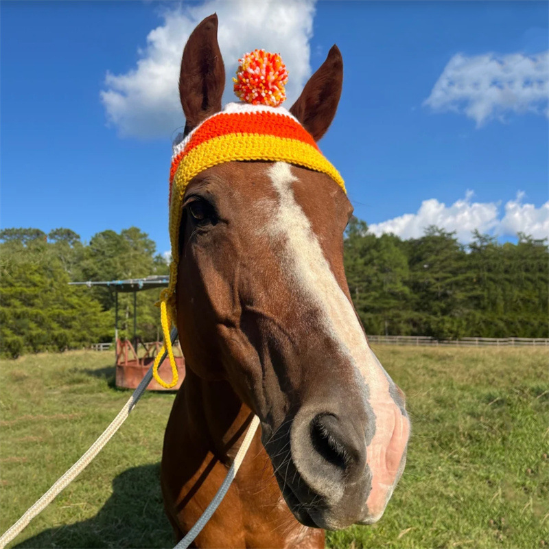 Външна търговия Amazon трансгранична нова ръчно плетена празнична атмосфера голяма шапка за домашни любимци модна персонализирана шапка за кон