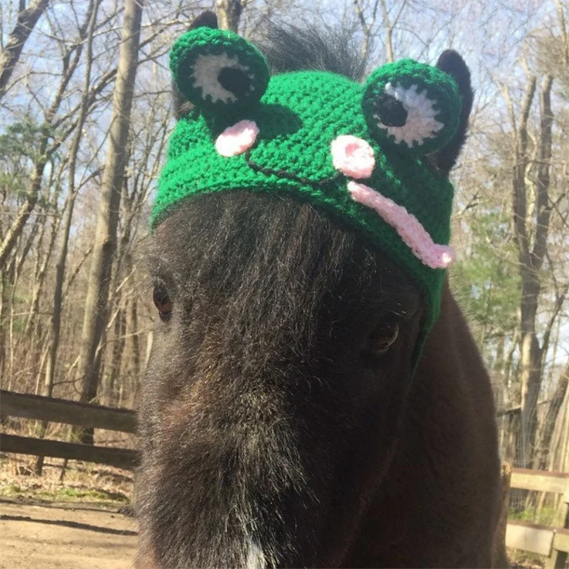 Външна търговия Amazon трансгранична нова ръчно плетена празнична атмосфера голяма шапка за домашни любимци модна персонализирана шапка за кон