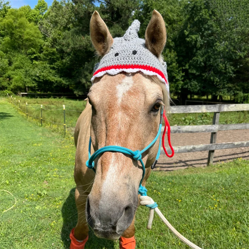 Външна търговия Amazon трансгранична нова ръчно плетена празнична атмосфера голяма шапка за домашни любимци модна персонализирана шапка за кон