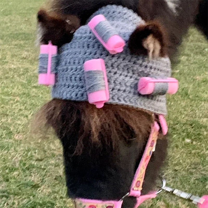 Външна търговия Amazon трансгранична нова ръчно плетена празнична атмосфера голяма шапка за домашни любимци модна персонализирана шапка за кон