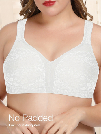 2025. aasta piiriülene uus Euroopa ja Ameerika suurte suurustega leopardimustriga kontrastse pitsiga õmblusteta naiste rinnahoidja piiriülese otsetarnega