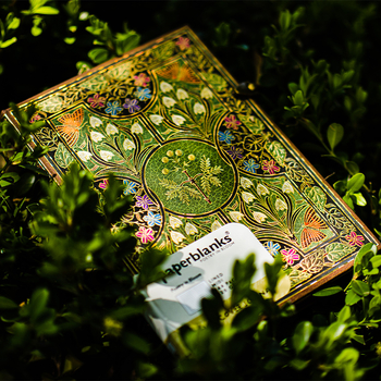 Värviline poeetiline märkmik Mimosa armastuse luule märkmik loominguline väike värske käsiraamat õpilasele peen kingitus