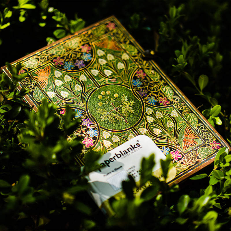 Caiet poetic colorat, Mimosa, poezie de dragoste, blocnotes, manual mic și proaspăt, cadou rafinat pentru studenți