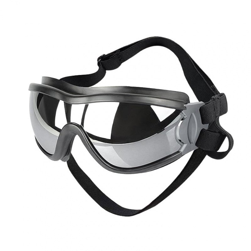 Lemmikloomade prillid, West Highland White Terrier, päikesekaitsekreem, päikesesirm, mootorrattaprillid, tuulekindlad, suured kassid, Bomei