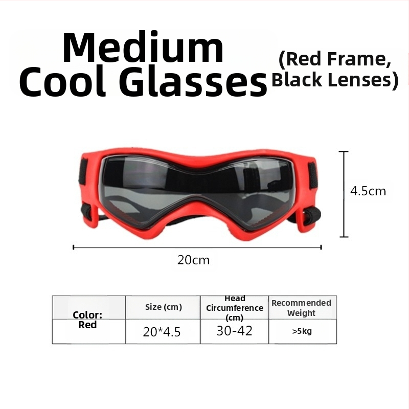 Lemmikloomade prillid, West Highland White Terrier, päikesekaitsekreem, päikesesirm, mootorrattaprillid, tuulekindlad, suured kassid, Bomei