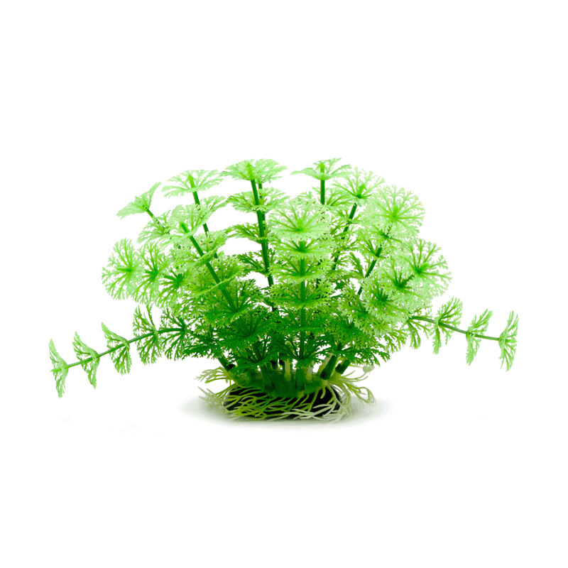 Titanicu kalapaagi maastik, laevahukk, väikesed kaunistused, akvaariumi kaunistused, keskkonnakaitse vaigust käsitöö, et vältida paadimaja vrakki