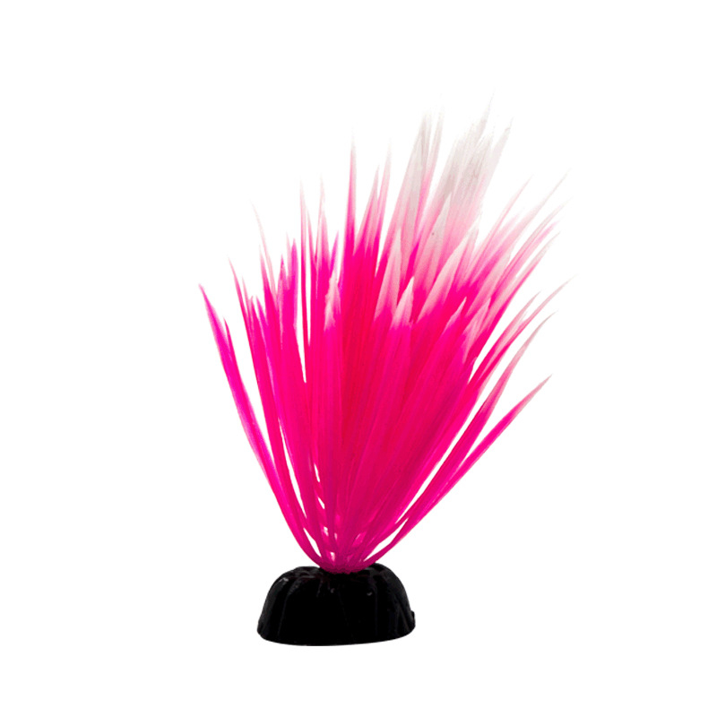 Titanicu kalapaagi maastik, laevahukk, väikesed kaunistused, akvaariumi kaunistused, keskkonnakaitse vaigust käsitöö, et vältida paadimaja vrakki