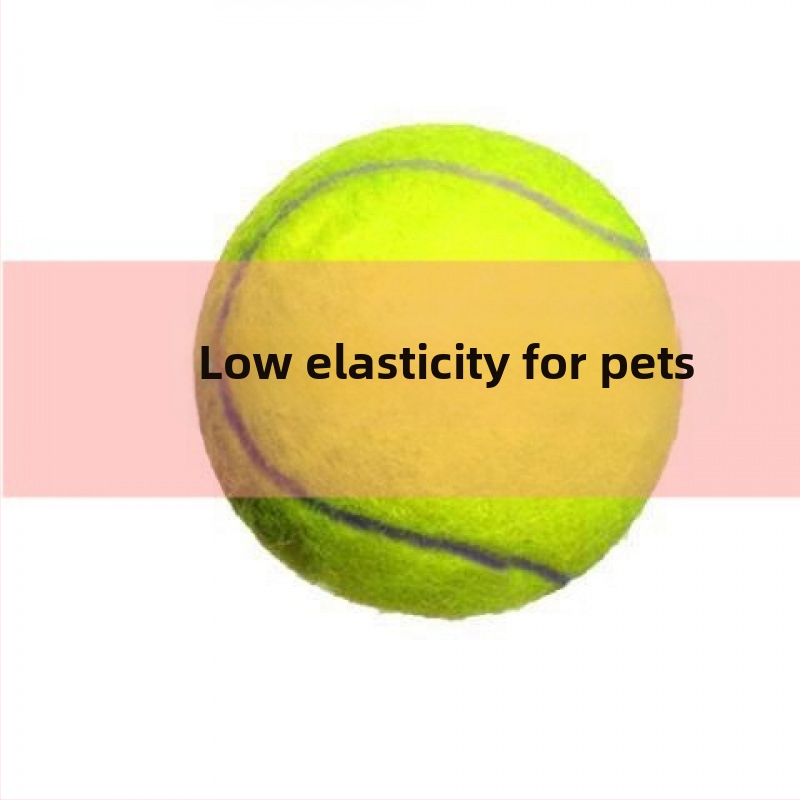 Tere tulemast 969 tennise jaoks, elastne ja vastupidav treeningnöörivaba keskkooli võistlus, eriline spordihulgimüük