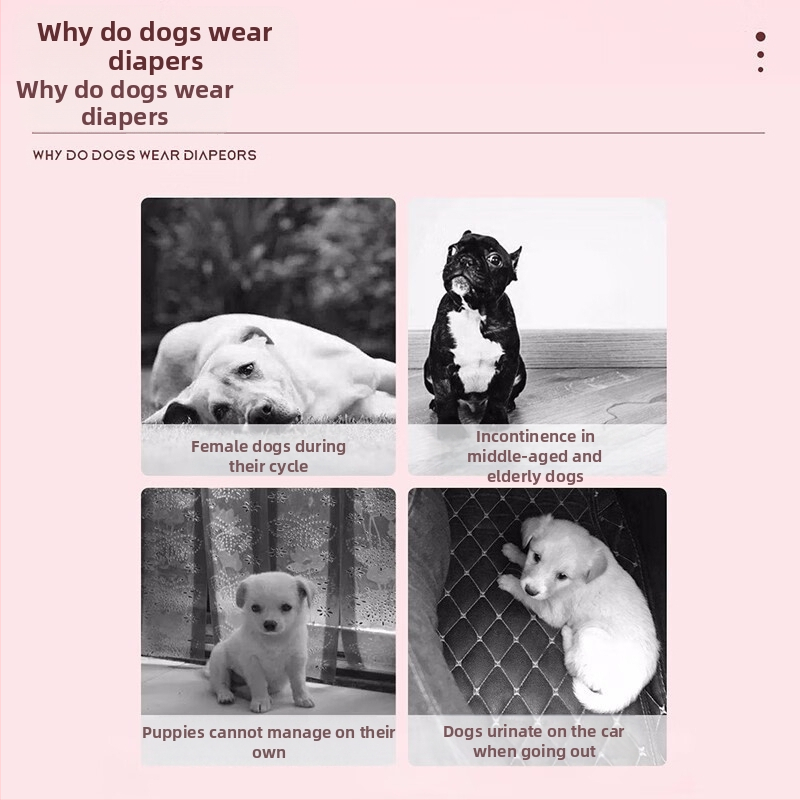 Физиологични пелени за кучета за женски и мъжки кучета, хигиенни превръзки за домашни любимци, дишащи панталони с придърпване