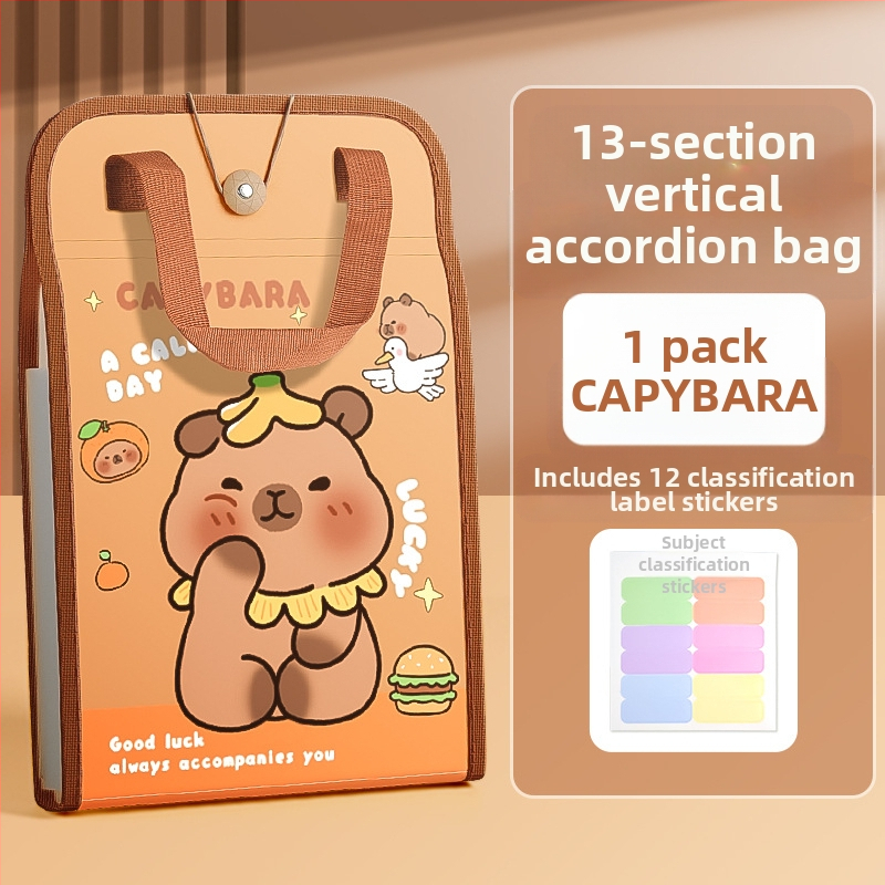 A4 käekoti dokumendikott 13-ruuduline organikott testpaberist kott mitmekihiline suure mahutavusega käeshoitav paberihoidik algkooliõpilastele