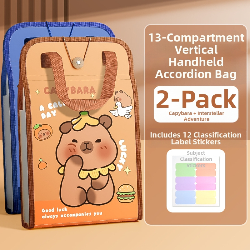 A4 käekoti dokumendikott 13-ruuduline organikott testpaberist kott mitmekihiline suure mahutavusega käeshoitav paberihoidik algkooliõpilastele