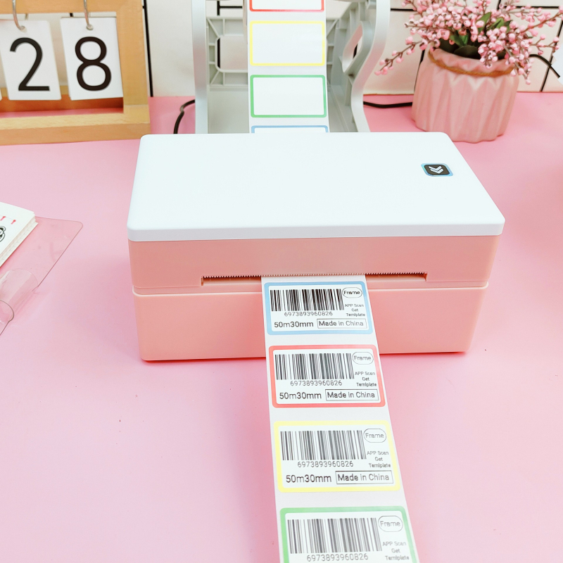 Bluetooth+PC kaheotstarbeline traadita termoprinter 4x6