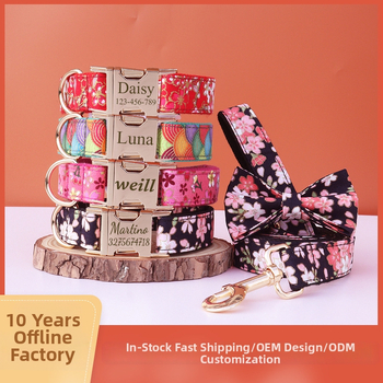 Jaapani stiilis kullatud koerakaelarihm lipsusõlmega, kohandatav graveeritud metallpandlaga lemmikloomaaksessuaar