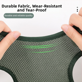 Αιώρα ομορφιάς για κατοικίδια σε διασυνοριακό επίπεδο, Γάτα, Σκύλος, Περιποίηση νυχιών, Μικρές και μεσαίες αιώρα ομορφιάς για γάτες, σκύλους, Είδη κατοικίδιων ζώων