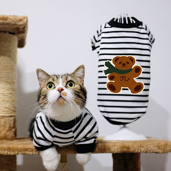 Дрехи за кучета за есен и зима, есенни и зимни стилове за котки, плюшено мече, бишон, померан, малки кучета, кученца, домашни любимци, пролетни и есенни стилове