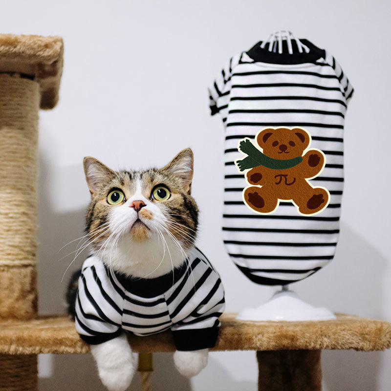 Дрехи за кучета за есен и зима, есенни и зимни стилове за котки, плюшено мече, бишон, померан, малки кучета, кученца, домашни любимци, пролетни и есенни стилове