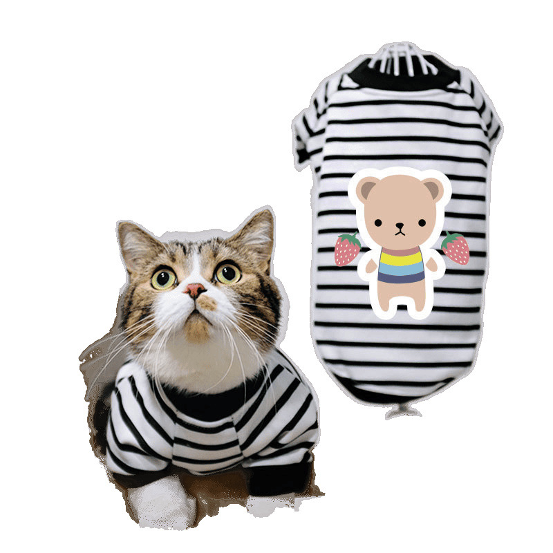 Дрехи за кучета за есен и зима, есенни и зимни стилове за котки, плюшено мече, бишон, померан, малки кучета, кученца, домашни любимци, пролетни и есенни стилове