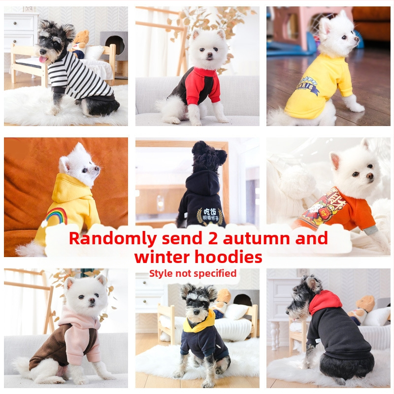 Дрехи за кучета за есен и зима, есенни и зимни стилове за котки, плюшено мече, бишон, померан, малки кучета, кученца, домашни любимци, пролетни и есенни стилове