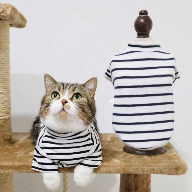 Дрехи за кучета за есен и зима, есенни и зимни стилове за котки, плюшено мече, бишон, померан, малки кучета, кученца, домашни любимци, пролетни и есенни стилове