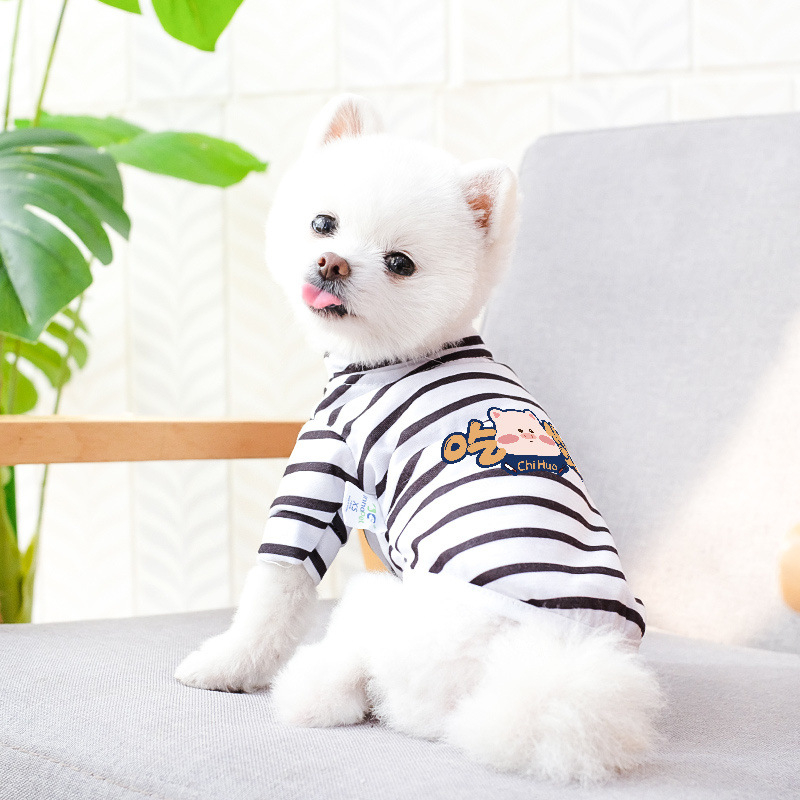 Дрехи за кучета за есен и зима, есенни и зимни стилове за котки, плюшено мече, бишон, померан, малки кучета, кученца, домашни любимци, пролетни и есенни стилове