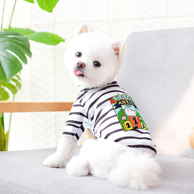 Дрехи за кучета за есен и зима, есенни и зимни стилове за котки, плюшено мече, бишон, померан, малки кучета, кученца, домашни любимци, пролетни и есенни стилове