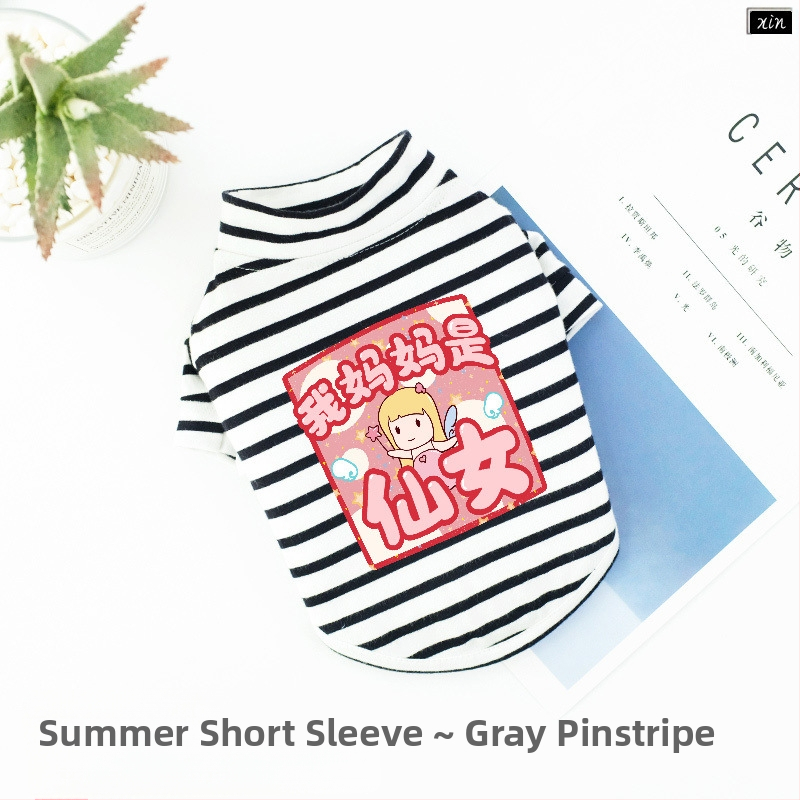 Дрехи за кучета за есен и зима, есенни и зимни стилове за котки, плюшено мече, бишон, померан, малки кучета, кученца, домашни любимци, пролетни и есенни стилове